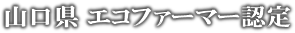 R GRt@[}[F