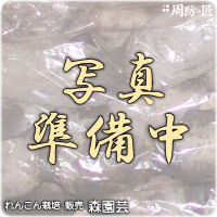 X|F⍑Y񂱂k-10kg
